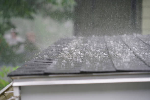 Best Gutter Installation and Repair  in Kahului, HI