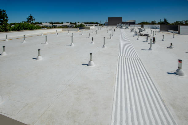 Best Asphalt Shingles Roofing  in Kahului, HI